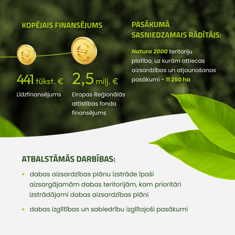 Infografika