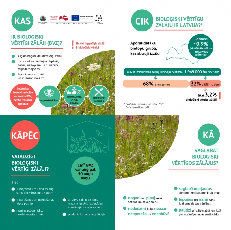 infografika