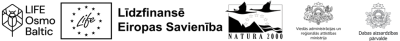 logo ansamblis