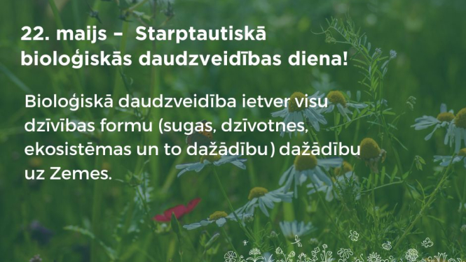 Publicitātes foto