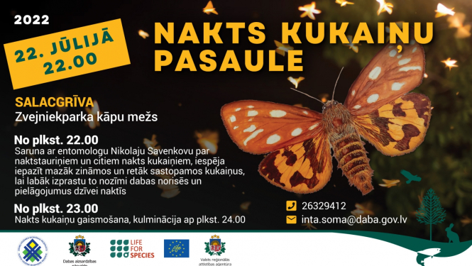 Kukaiņu nakts