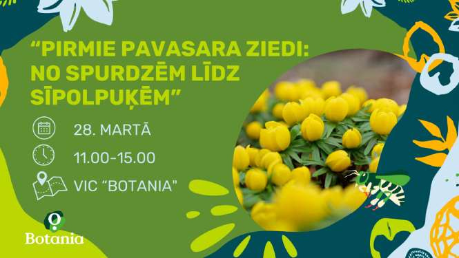 Pirmie pavasara ziedi