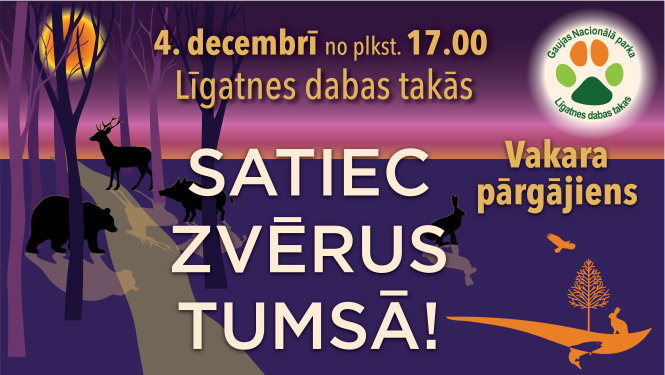 Pasākuma afiša