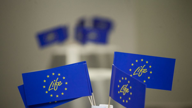Life ES