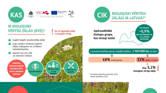 infografika