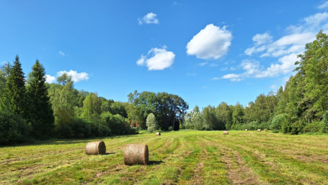 Pļava