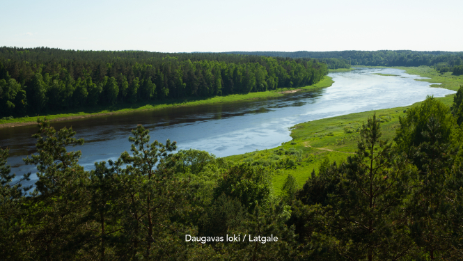 Daugavas loki