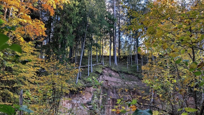 Ainava