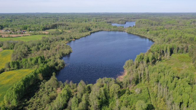 Dabas liegums KLAUCĀNU un PRIEKULĀNU EZERI