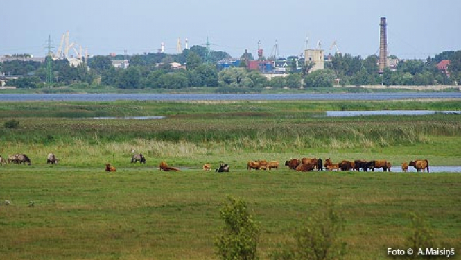 Liepājas ezers