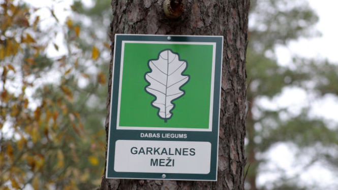 Norāde