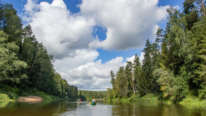 Gauja
