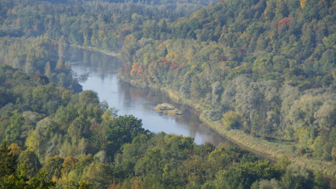 Gauja_DAP