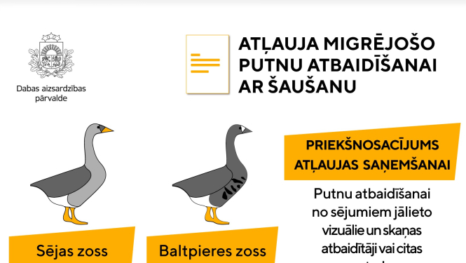 zosis