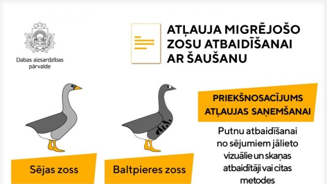 zosis