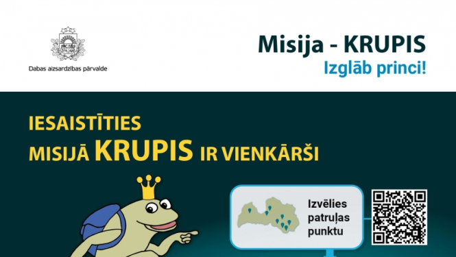Krupis