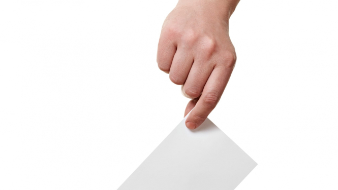 Referendums