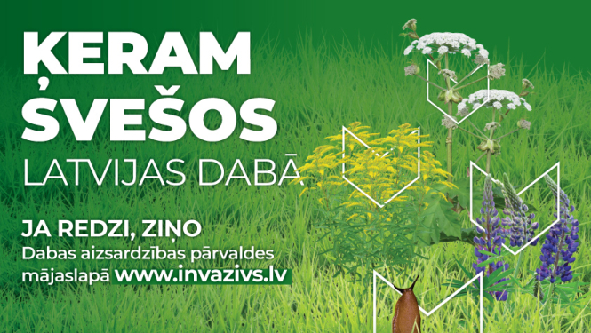 Invazīvās sugas