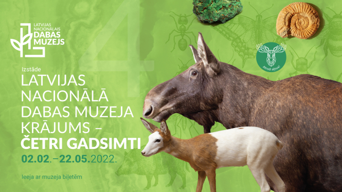 Izstāde muzejā