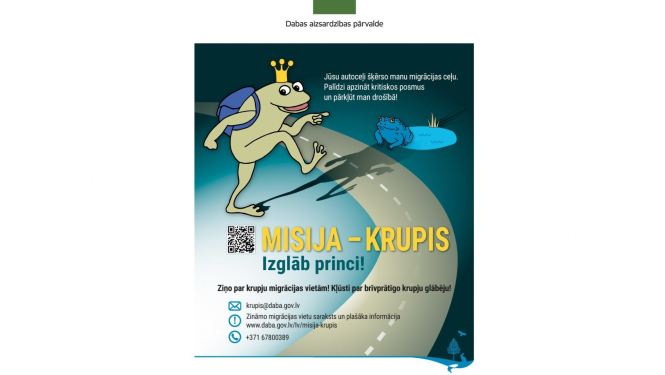 Misija - krupis