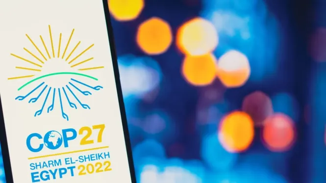 COP27