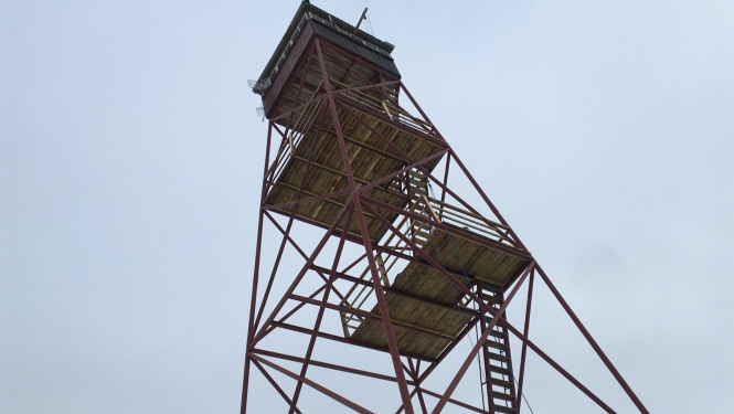 Tornis
