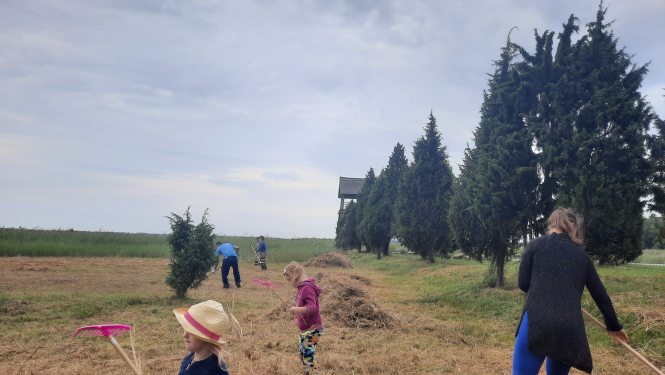 zāļu pļava