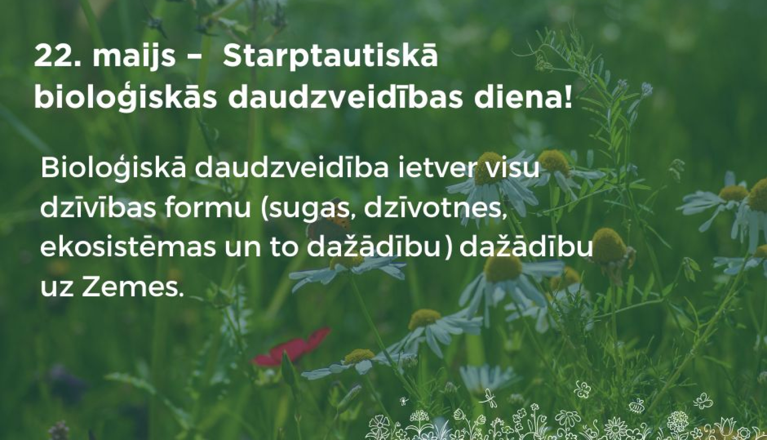 Publicitātes foto