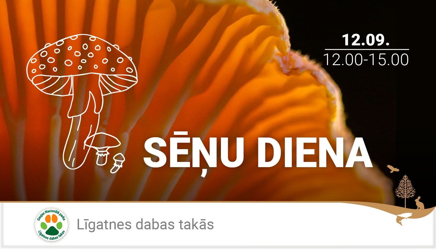 Sēnes
