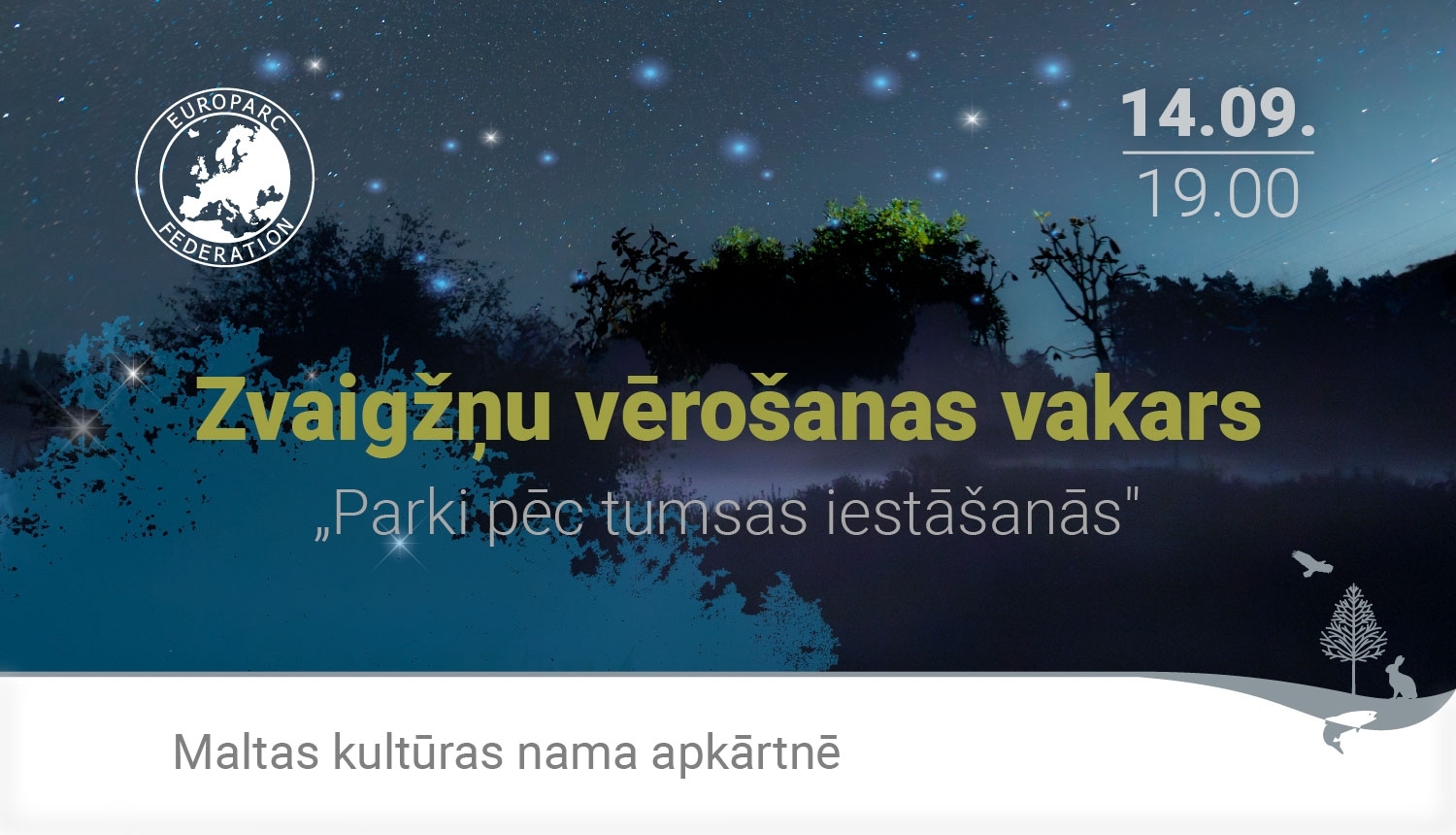 Zvaigžņu nakts