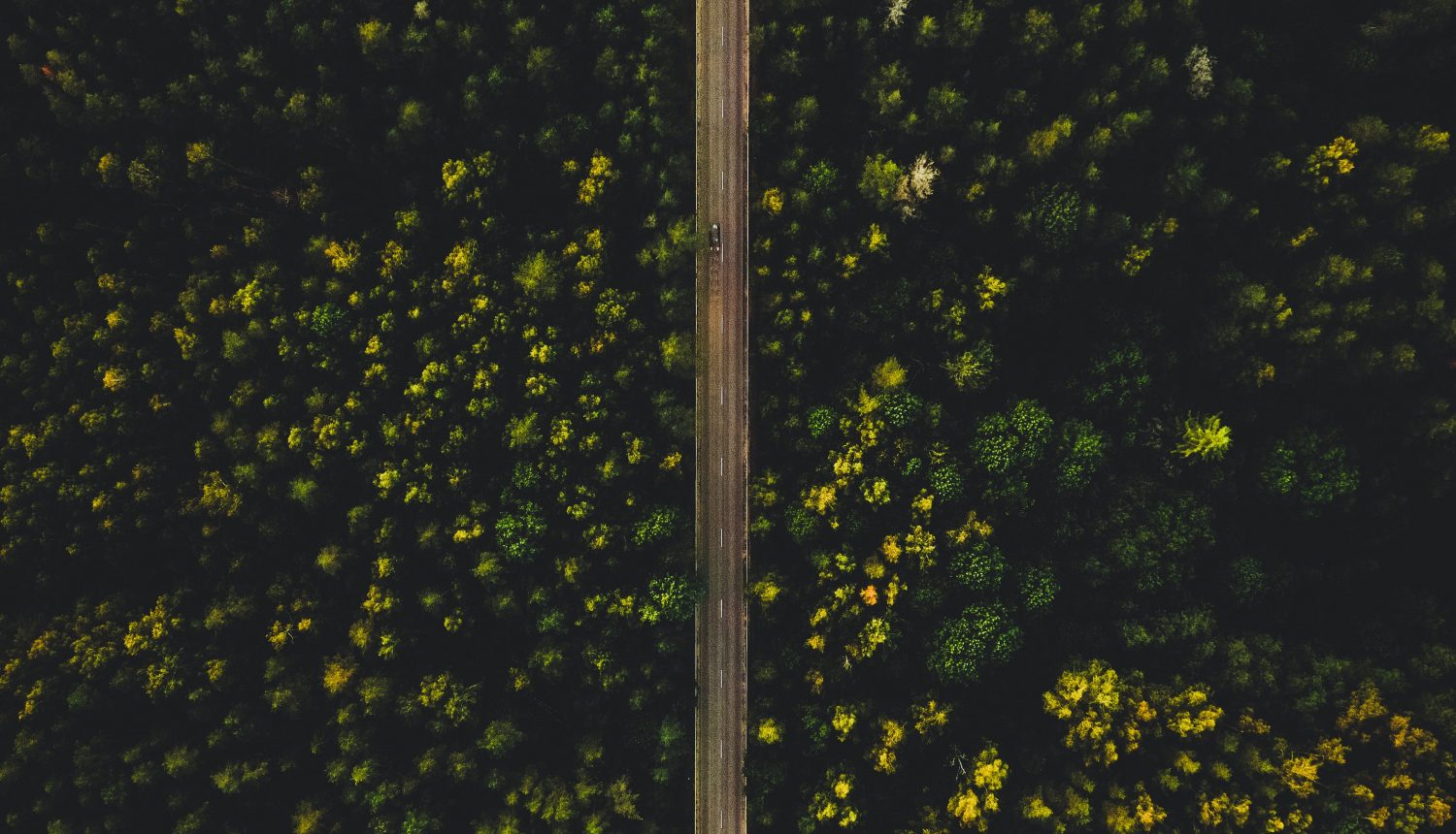 Jurmala