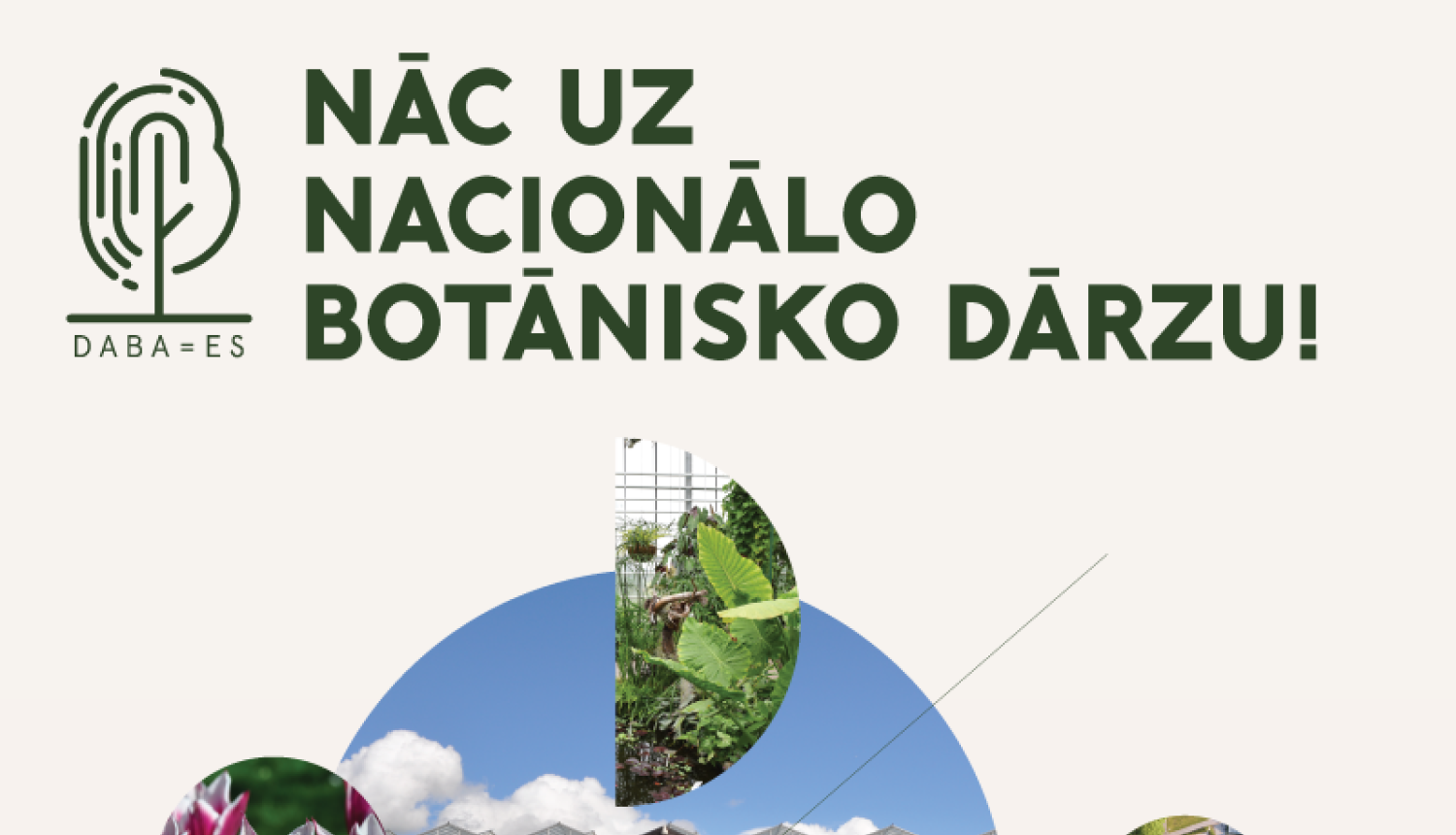 botania