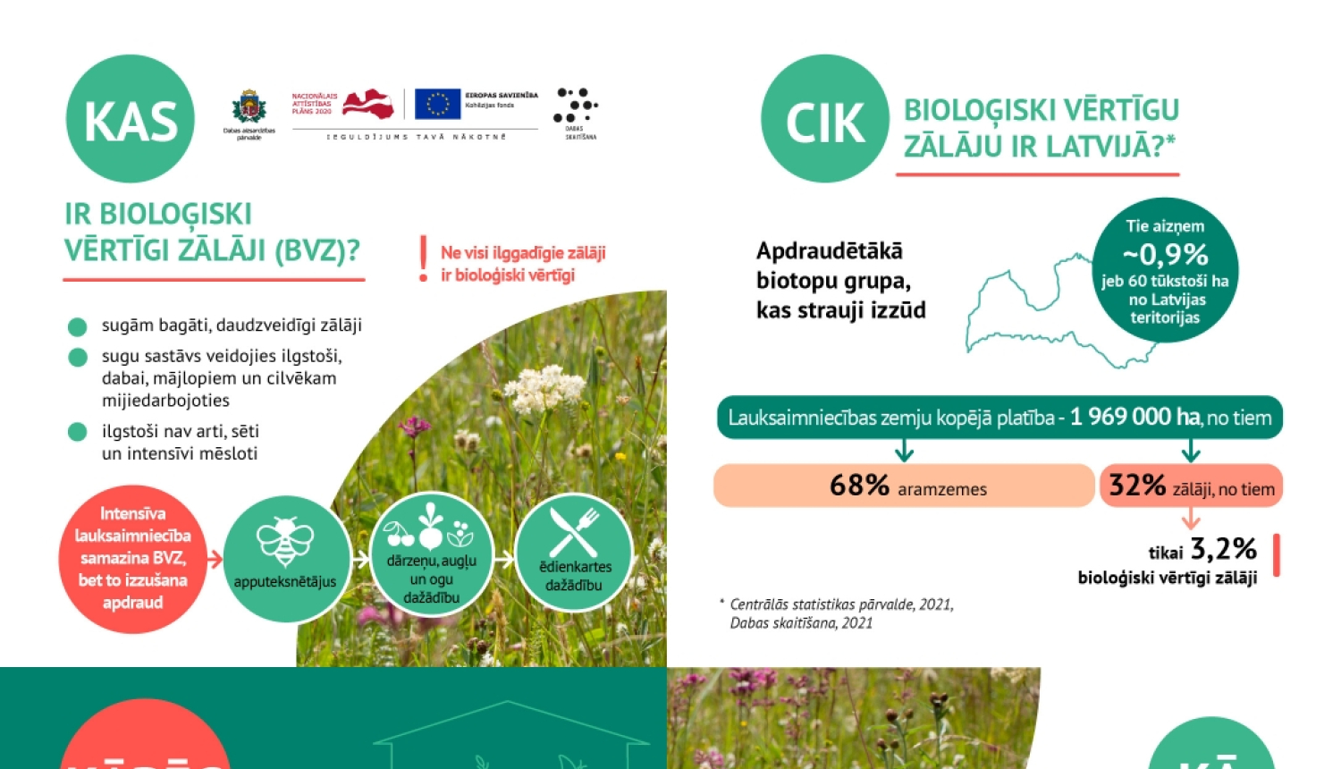 infografika