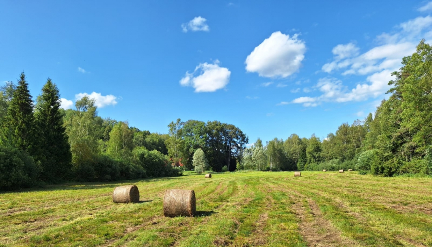 Pļava