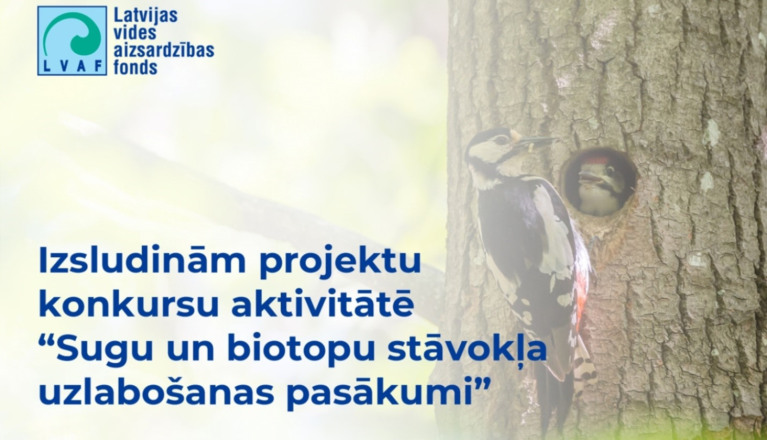 Projektu konkurss