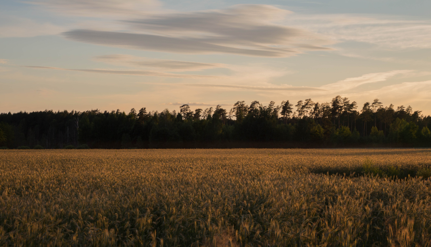 Daba, pļava