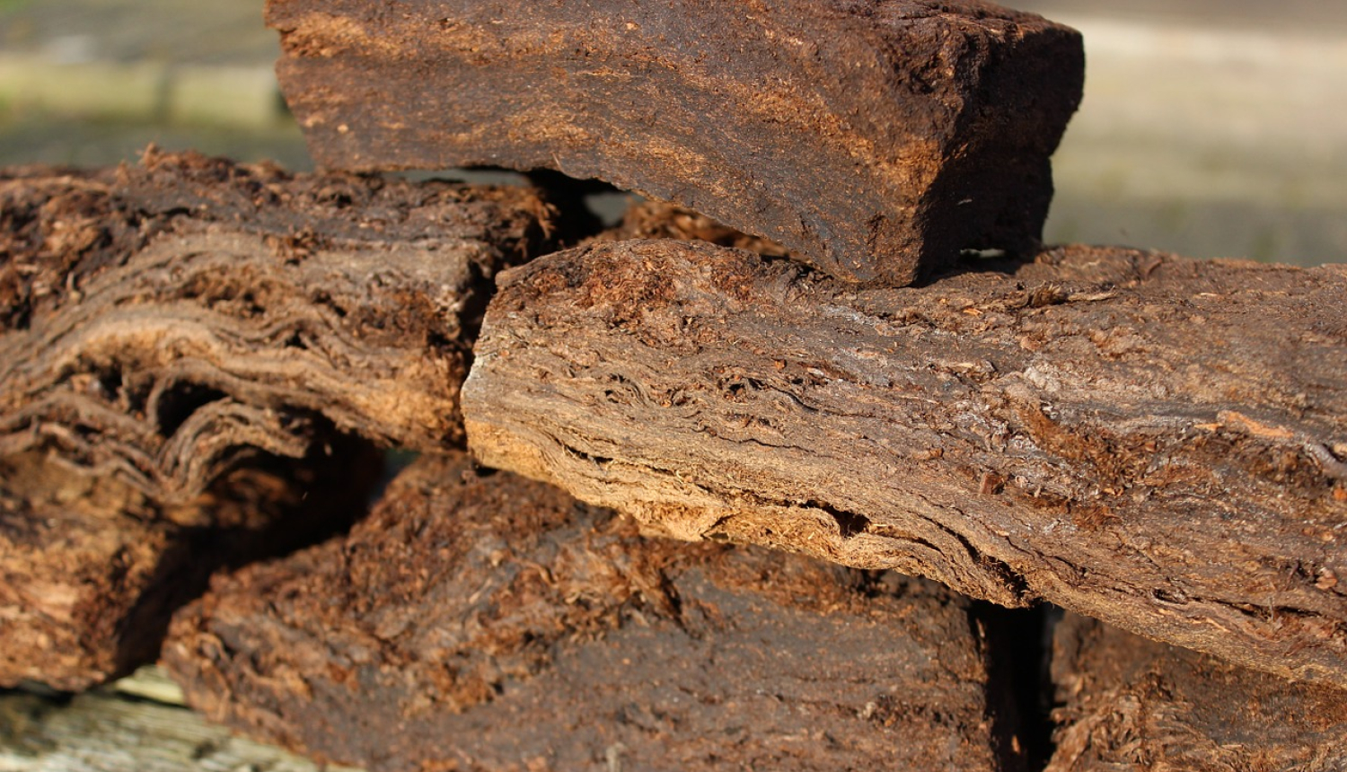 kūdra