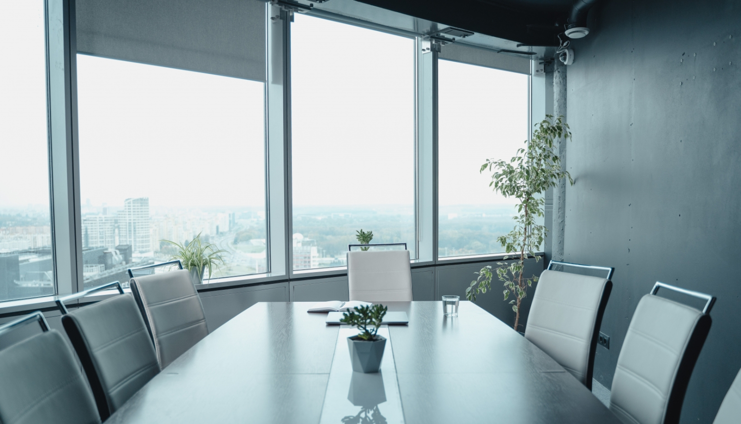 zaļš office