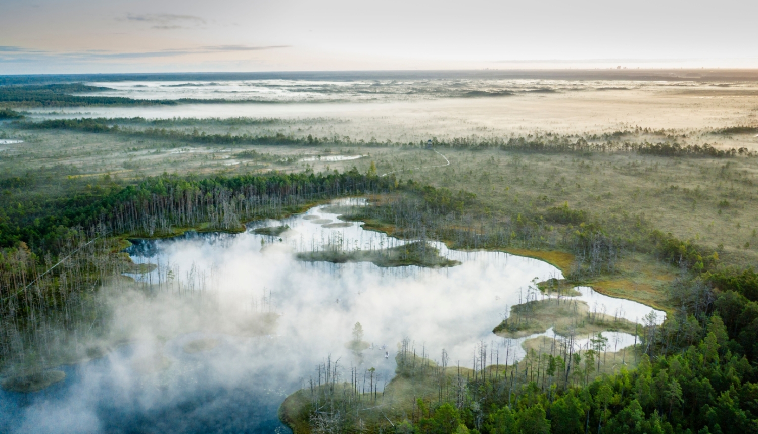 Attēls ar Latvijas purvu, foto no putna lidojuma