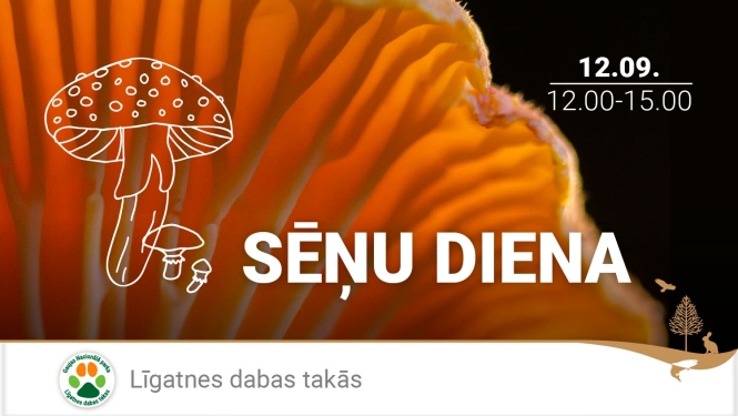 Sēnes