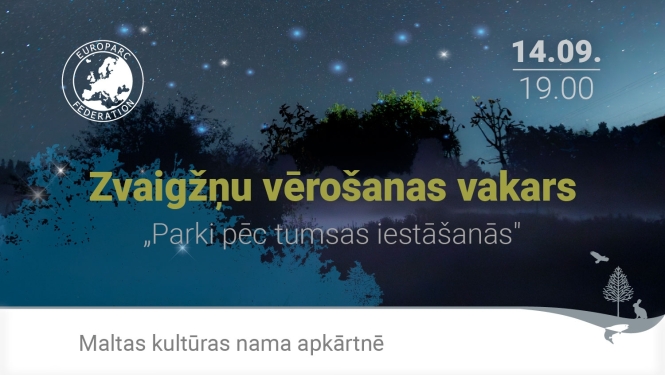 Zvaigžņu nakts