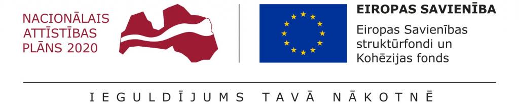 Logo_Nacionālais_attīstības_plāns2020_ES