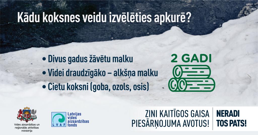 Infografika: Kādu koksnes veidu izmantot apkures katla kurināšanā? 