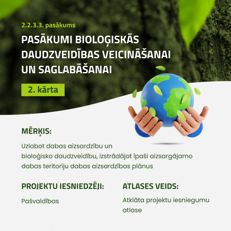 Infografika