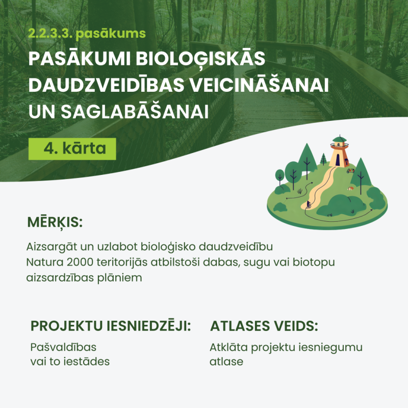 Infografika