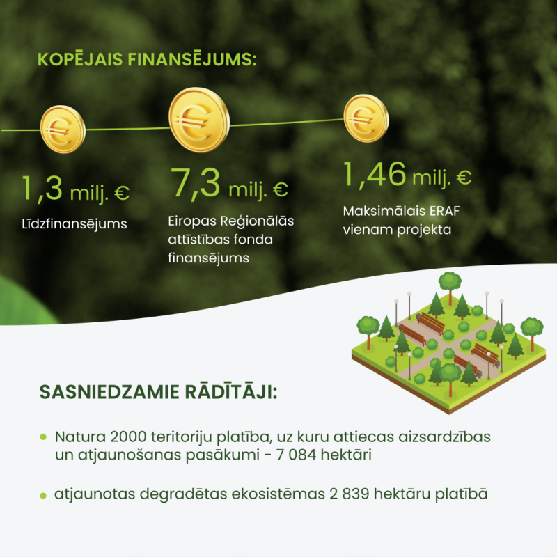Infografika