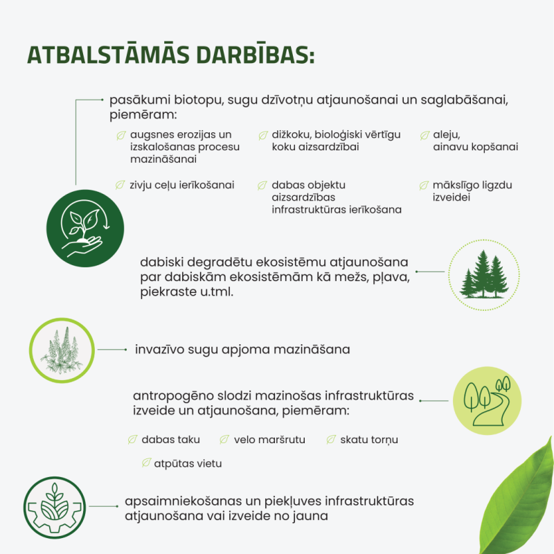 Infografika