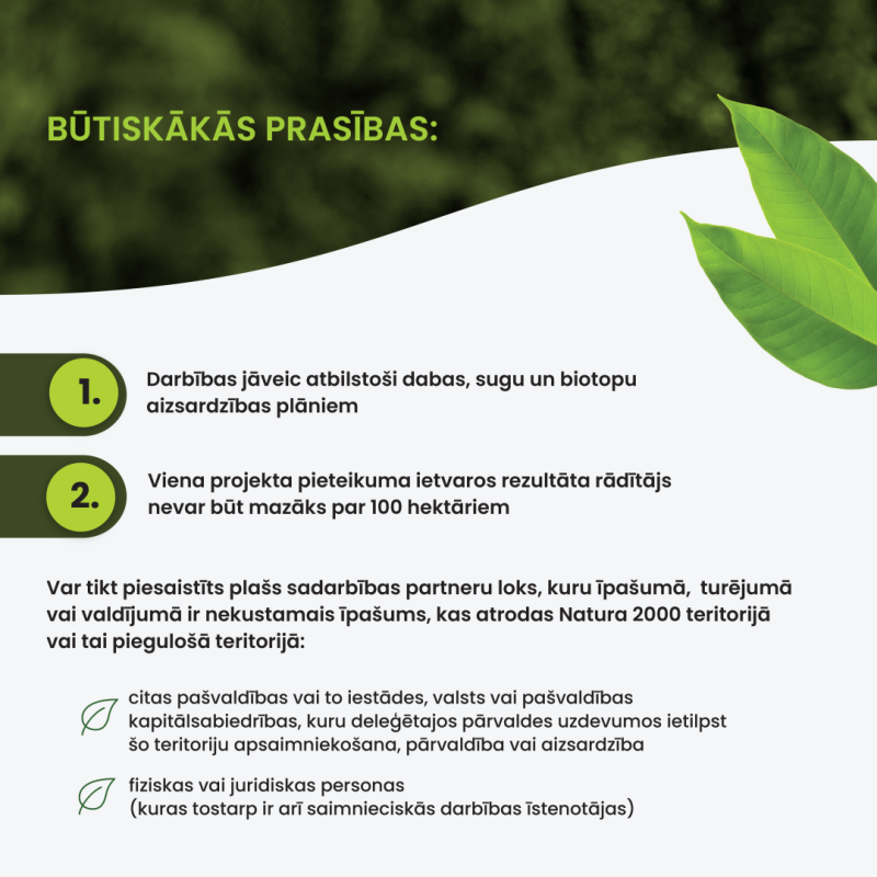 Infografika
