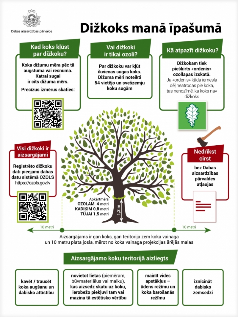 Infografika_dižkoks