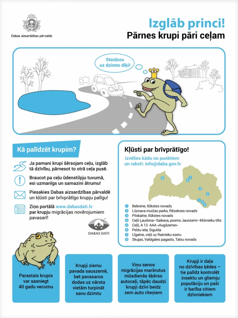 Infografika: Pārnes krupi pāri ceļam.